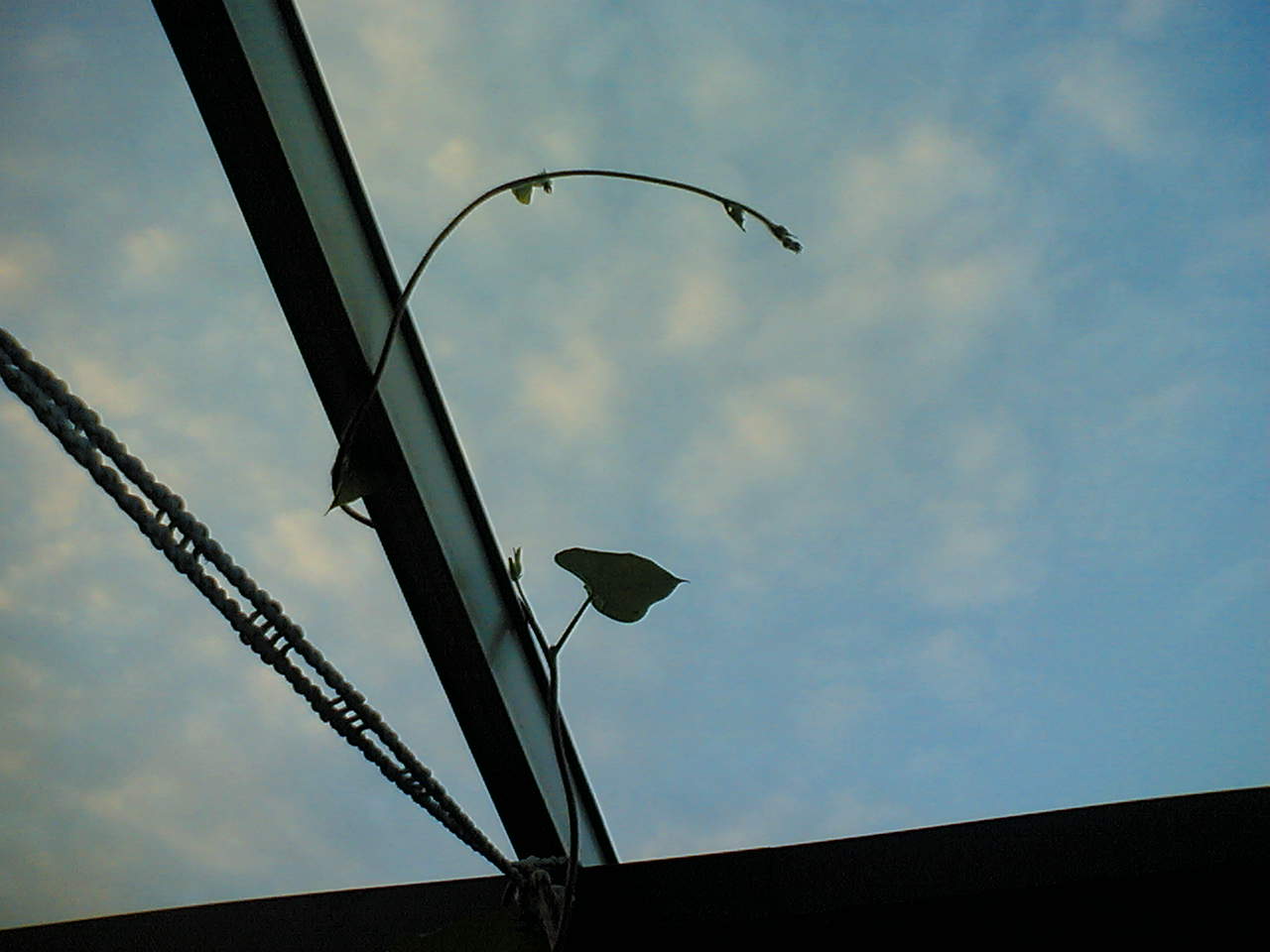 f0142668_5474588.jpg