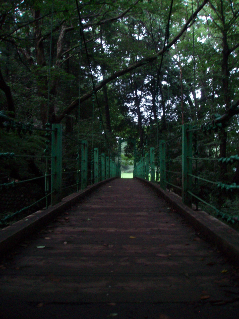 a0103569_22211664.jpg