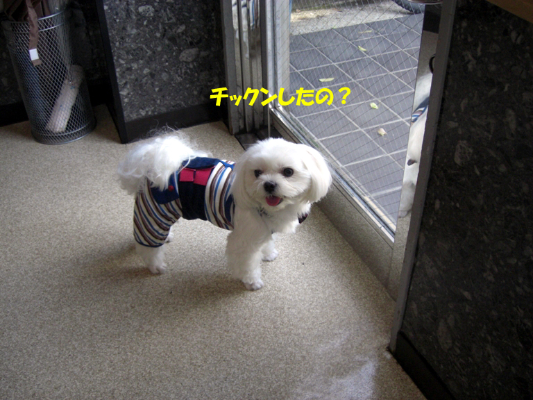 b0060071_2313162.jpg