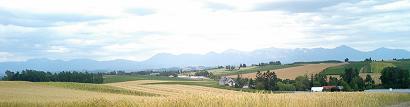 d0111672_2245456.jpg