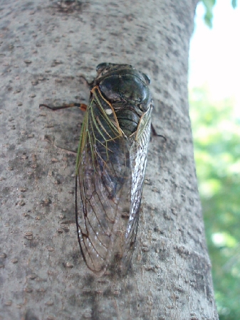 b0092475_22361357.jpg
