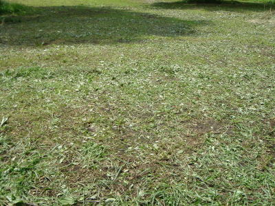 b0055276_0422234.jpg