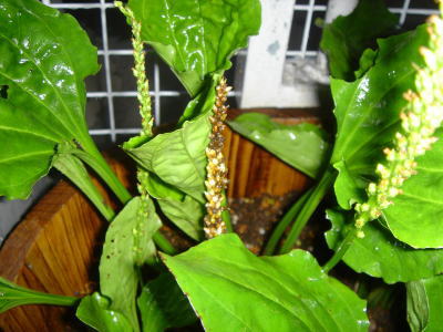 b0055276_044265.jpg