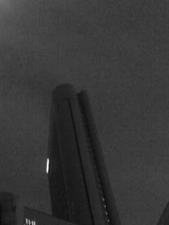 f0100480_19425048.jpg