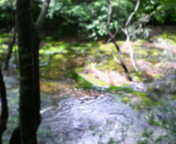 f0073581_22422630.jpg