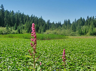 f0077789_21402147.jpg