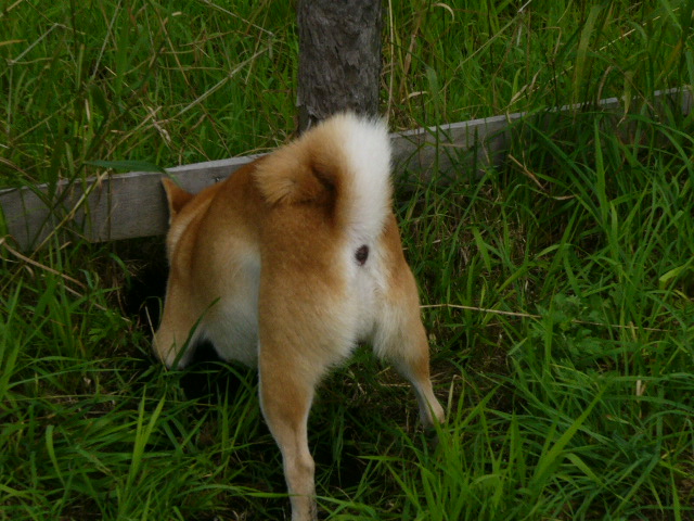 c0123890_15163640.jpg