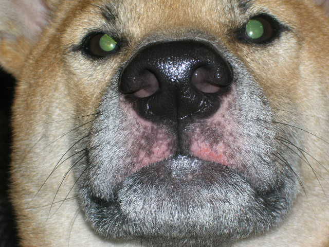 c0123890_16335853.jpg