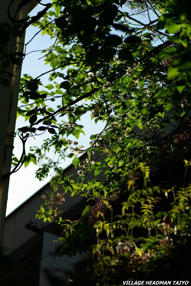 e0108390_2392260.jpg