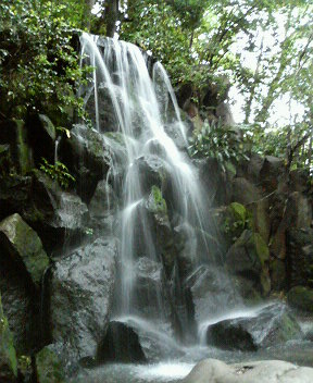 f0018790_013843.jpg