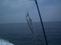 f0069890_064918.jpg