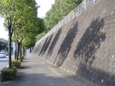 f0130894_21344095.jpg