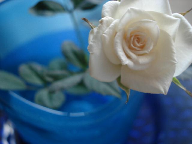 f0084806_723670.jpg