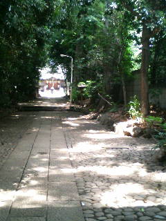 a0088007_12661.jpg