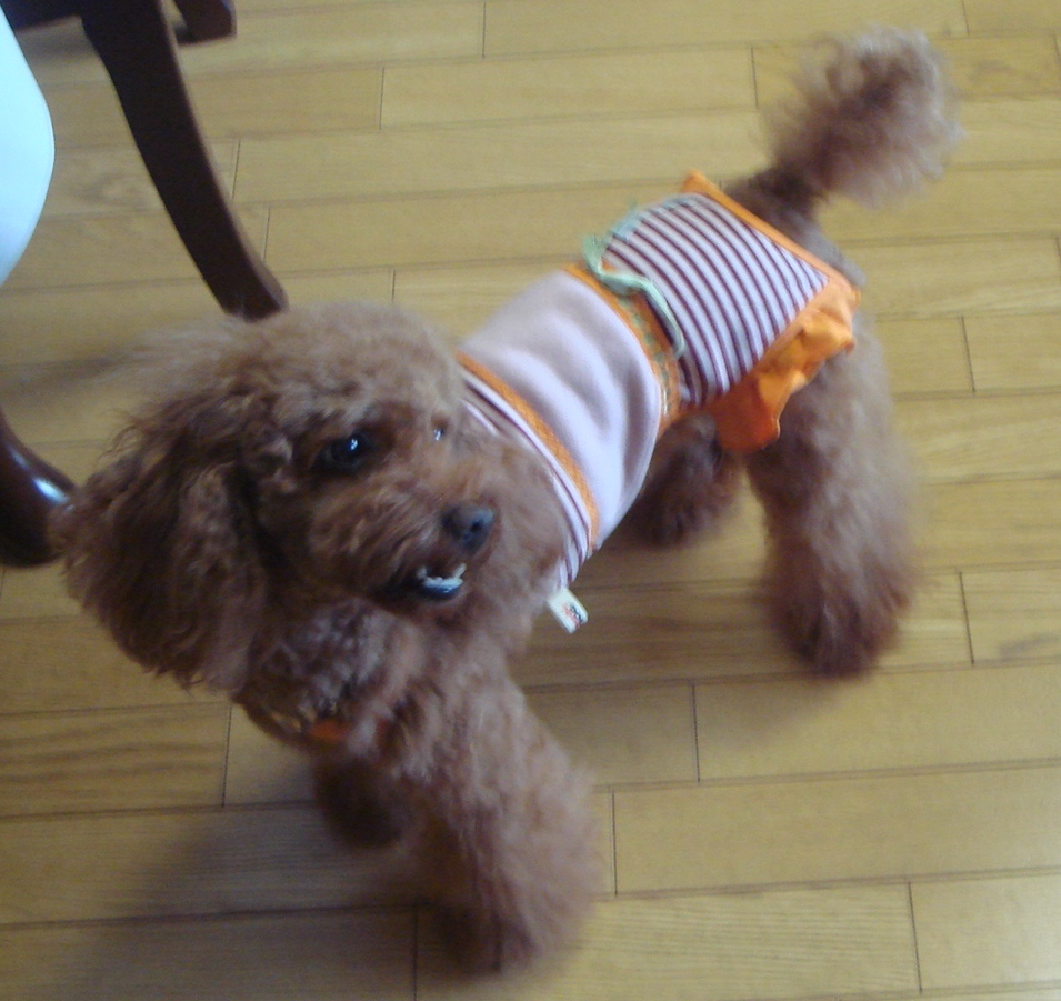 c0041207_1422375.jpg