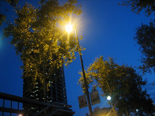 b0064411_61410.jpg