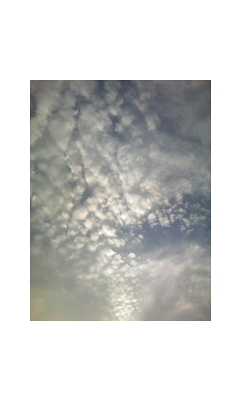 d0085711_16594258.jpg