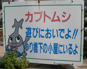 b0040615_14233592.jpg