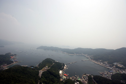 b0040615_19585938.jpg