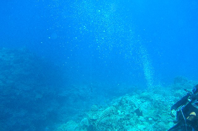 b0093515_724544.jpg