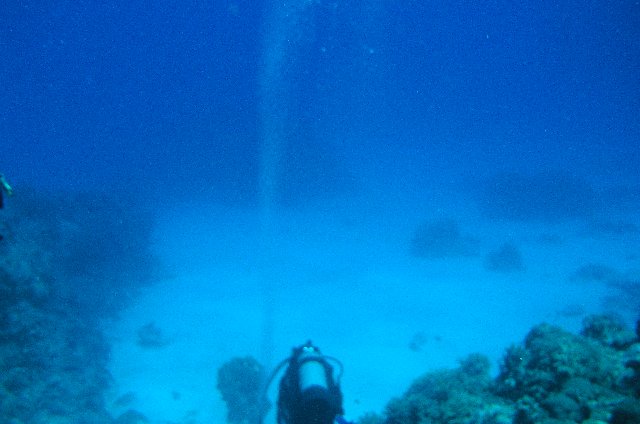 b0093515_7271629.jpg