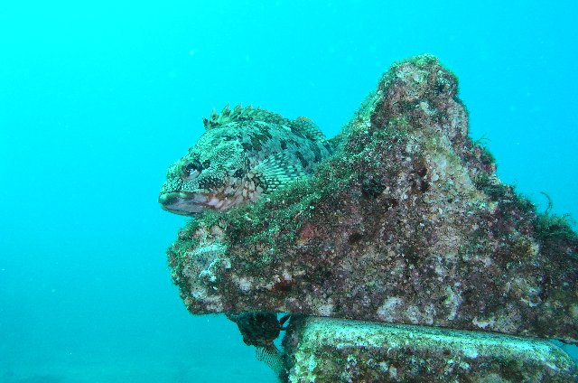 b0093515_7402129.jpg