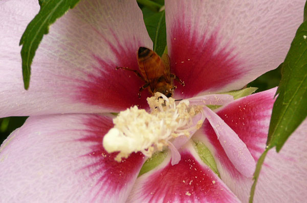 f0056516_2342526.jpg