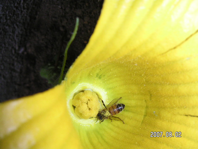 a0020929_8244254.jpg