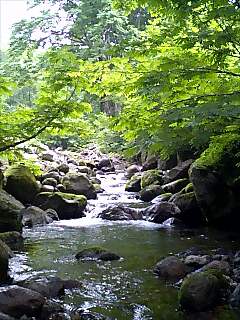 f0118332_7593550.jpg