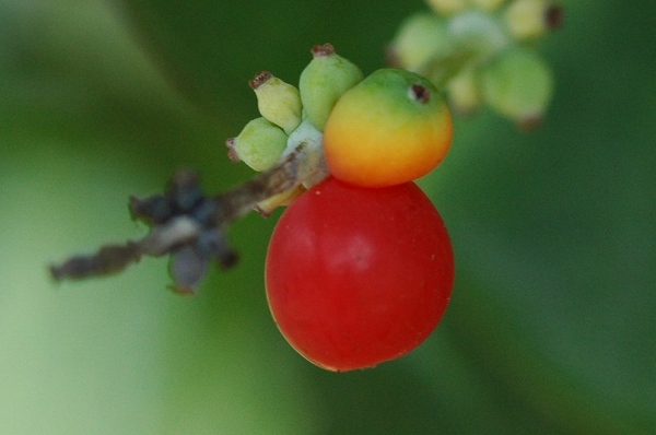 a0017634_07923.jpg