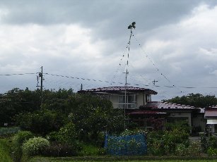 f0147037_1947950.jpg