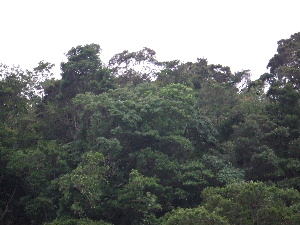 a0054240_18201156.jpg