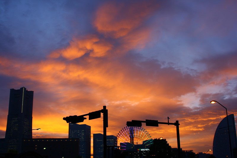 f0082348_1338417.jpg