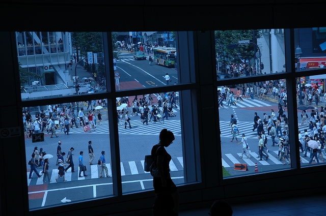 d0010052_193285.jpg