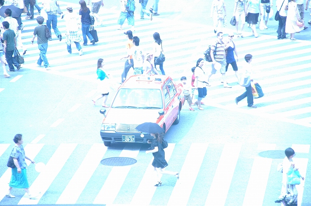 d0010052_223743.jpg