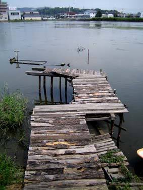 f0062055_6265275.jpg