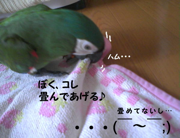 f0132055_0184837.jpg