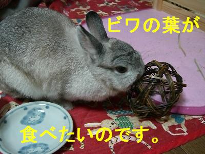 f0104057_20313875.jpg