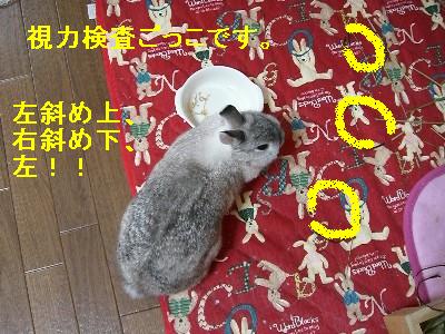 f0104057_20552750.jpg