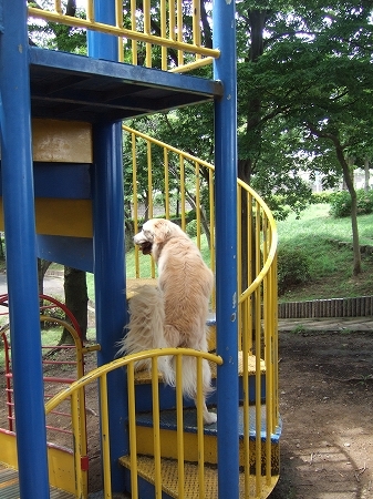 c0097558_2349377.jpg