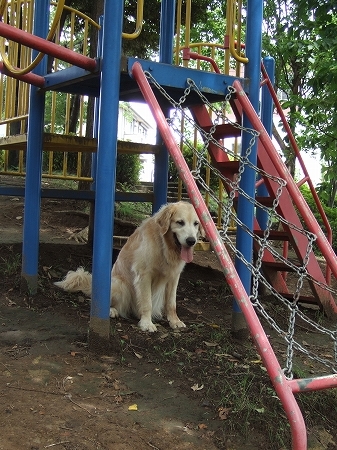 c0097558_23541052.jpg