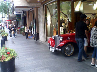 d0058958_2053710.jpg
