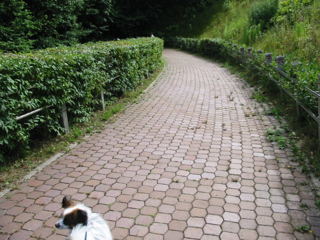 f0122259_20594695.jpg