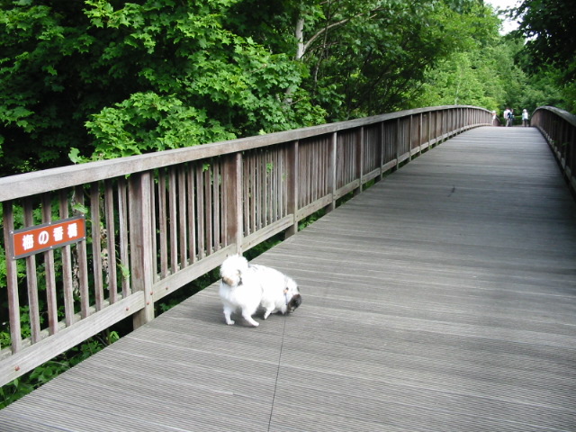f0122259_2131261.jpg