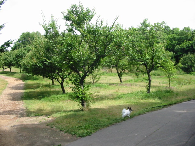 f0122259_2171513.jpg