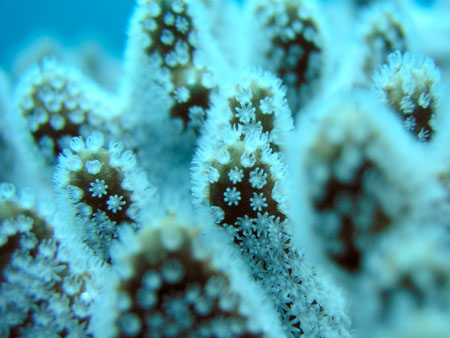 b0062363_21112469.jpg