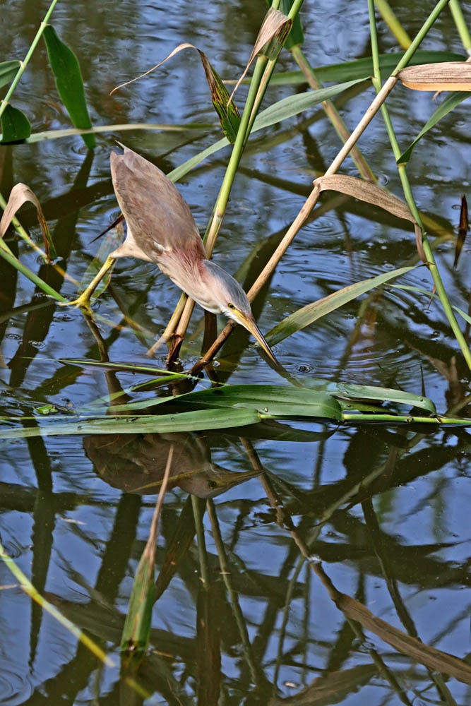 a0083081_2022716.jpg