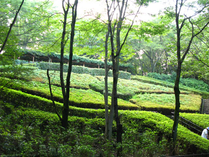 d0055690_2134544.jpg