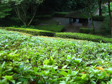 d0055690_2143932.jpg