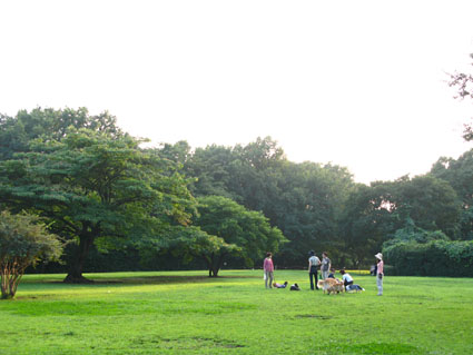 d0055690_2162743.jpg